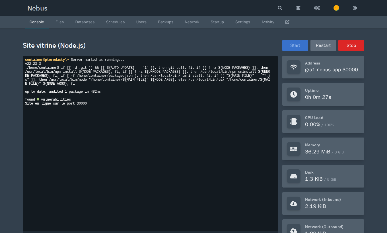 Консоль сервера Node.js: журнал запуска, кнопки Start, Restart и Stop, адрес, время работы, процессор, память и диск