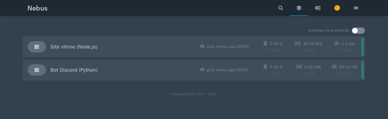 Список из двух серверов, Site vitrine (Node.js) и Bot Discord (Python), с адресом и потреблением